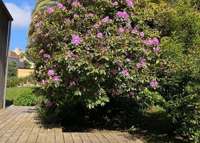 Villa En Bois Perros-Guirec - Gwez-Roz
